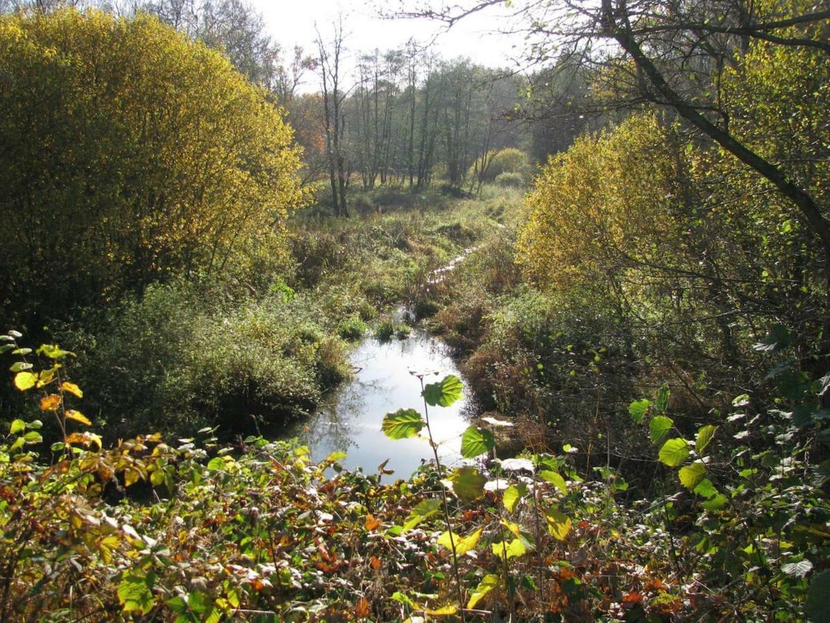 Obora 827 Nova Bystrice Villa Buitenkant foto