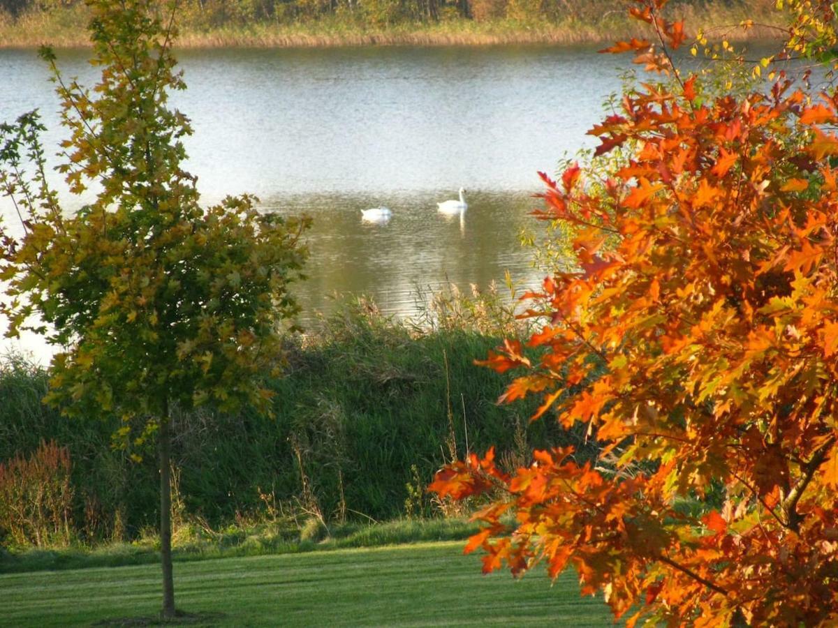 Obora 827 Nova Bystrice Villa Buitenkant foto