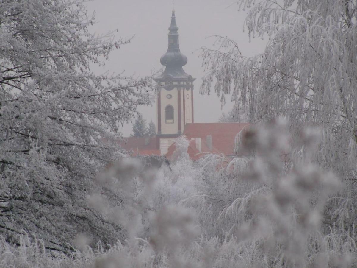 Obora 827 Nova Bystrice Villa Buitenkant foto